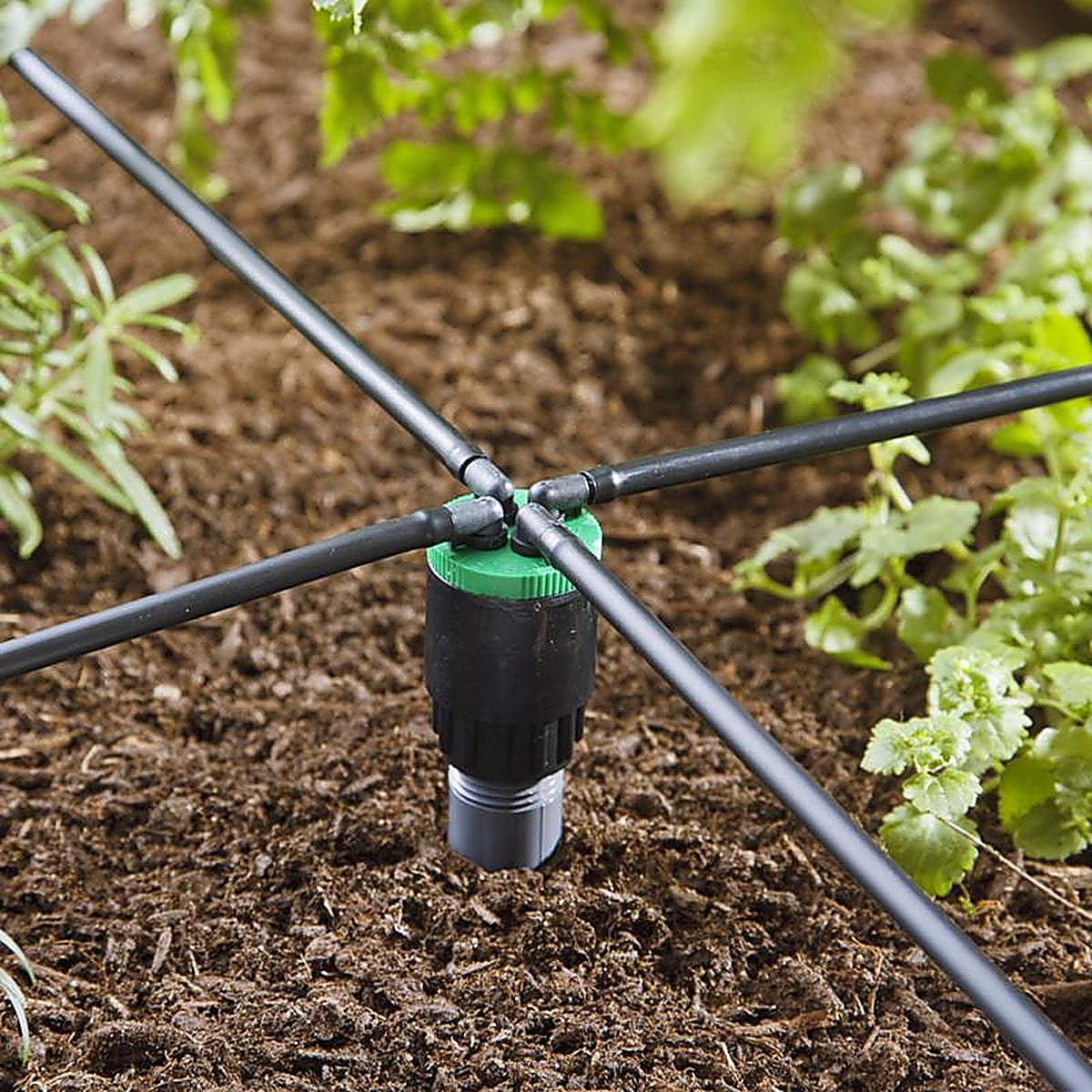 Raindrip - QB20UB - Spot Drip Irrigation Bubbler 20 gph