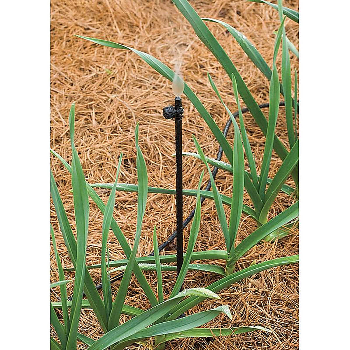 Rain Bird - RISER1PKS - Drip Irrigation Tubing Stake 12 in. L - 1/Pack