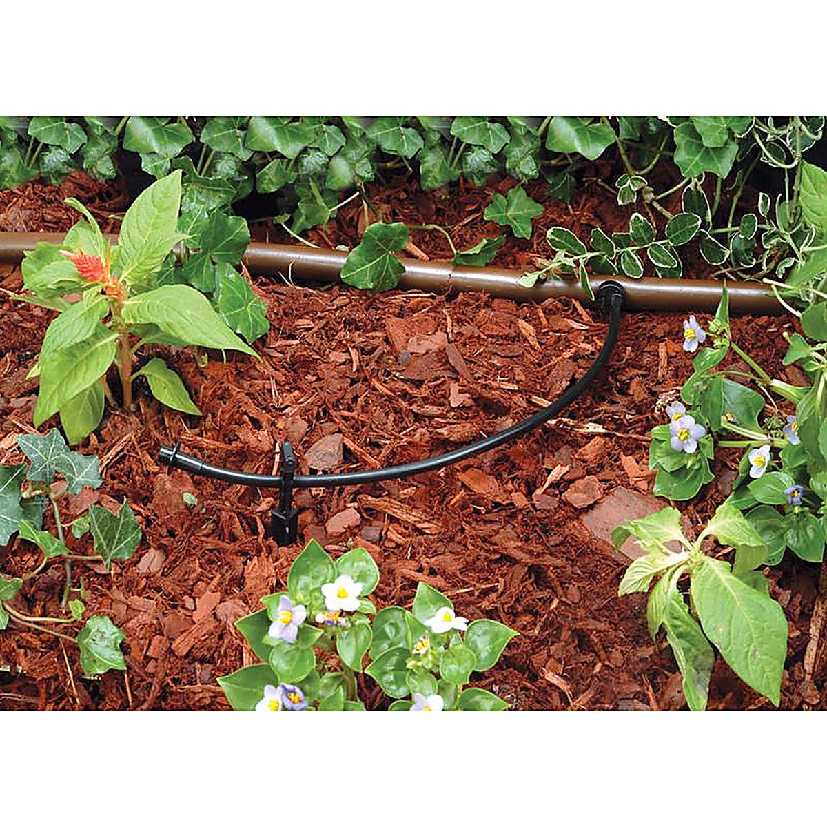 Rain Bird - T22-100S - Plastic Drip Irrigation Tubing 1/4 in. Dia. x 100 ft. L