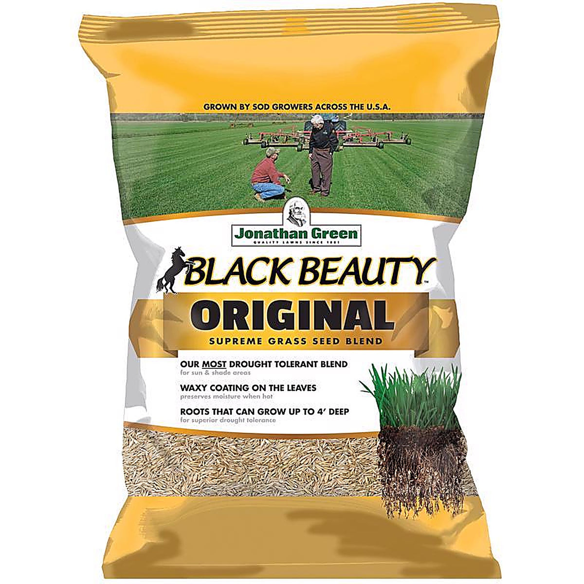 Jonathan Green - 10315 - Black Beauty Original Tall Fescue Grass Sun or Shade Grass Seed 25 lb