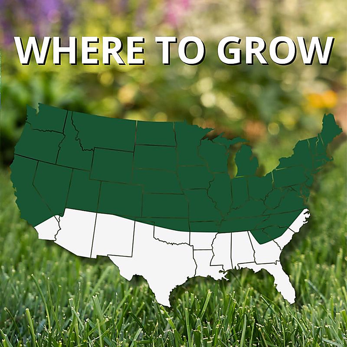 Jonathan Green - 10600 - Black Beauty Dense Shade Mixed Full Shade Grass Seed 3 lb