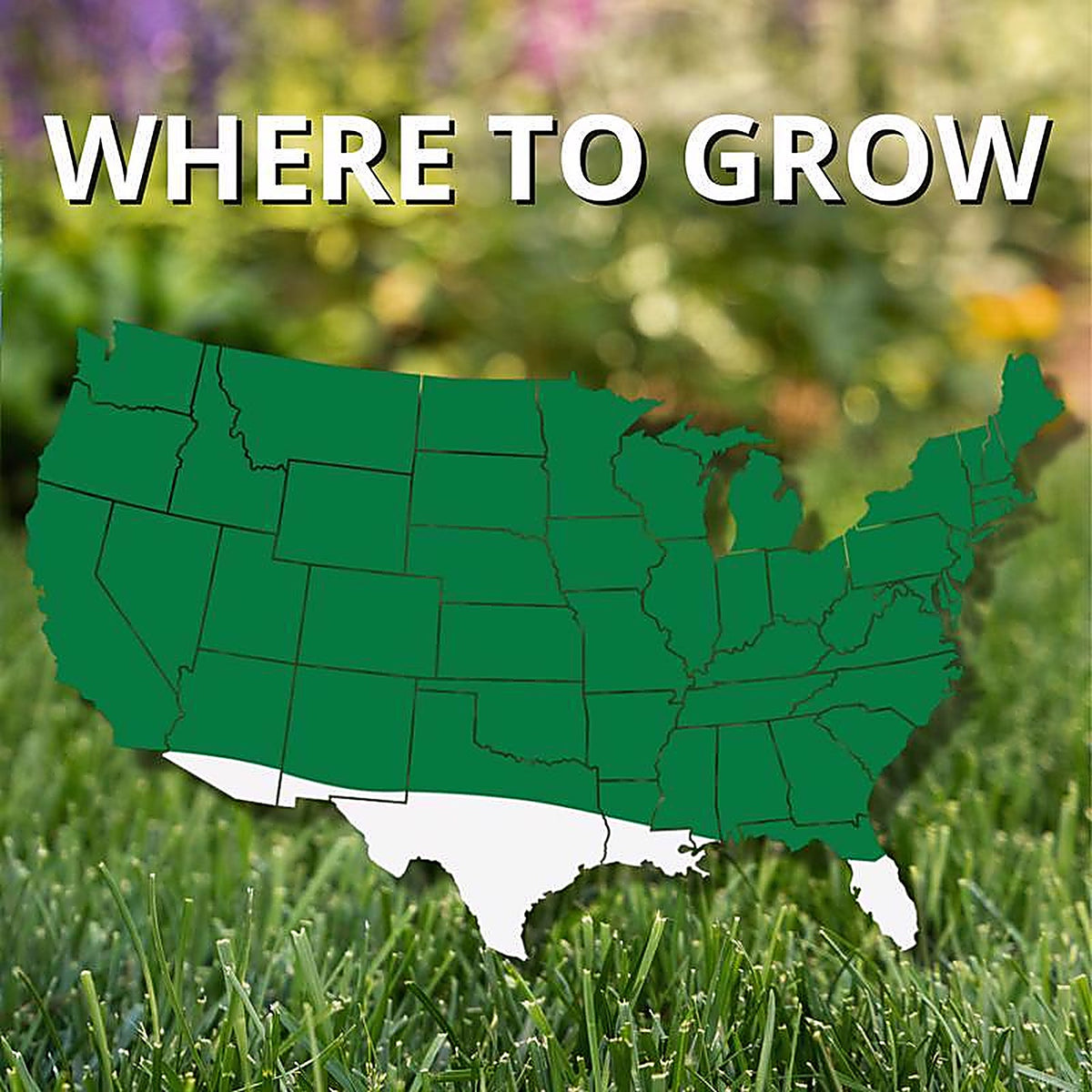 Jonathan Green - 12120 - Touch-Up Perennial Ryegrass Sun or Shade Grass Seed 3 lb