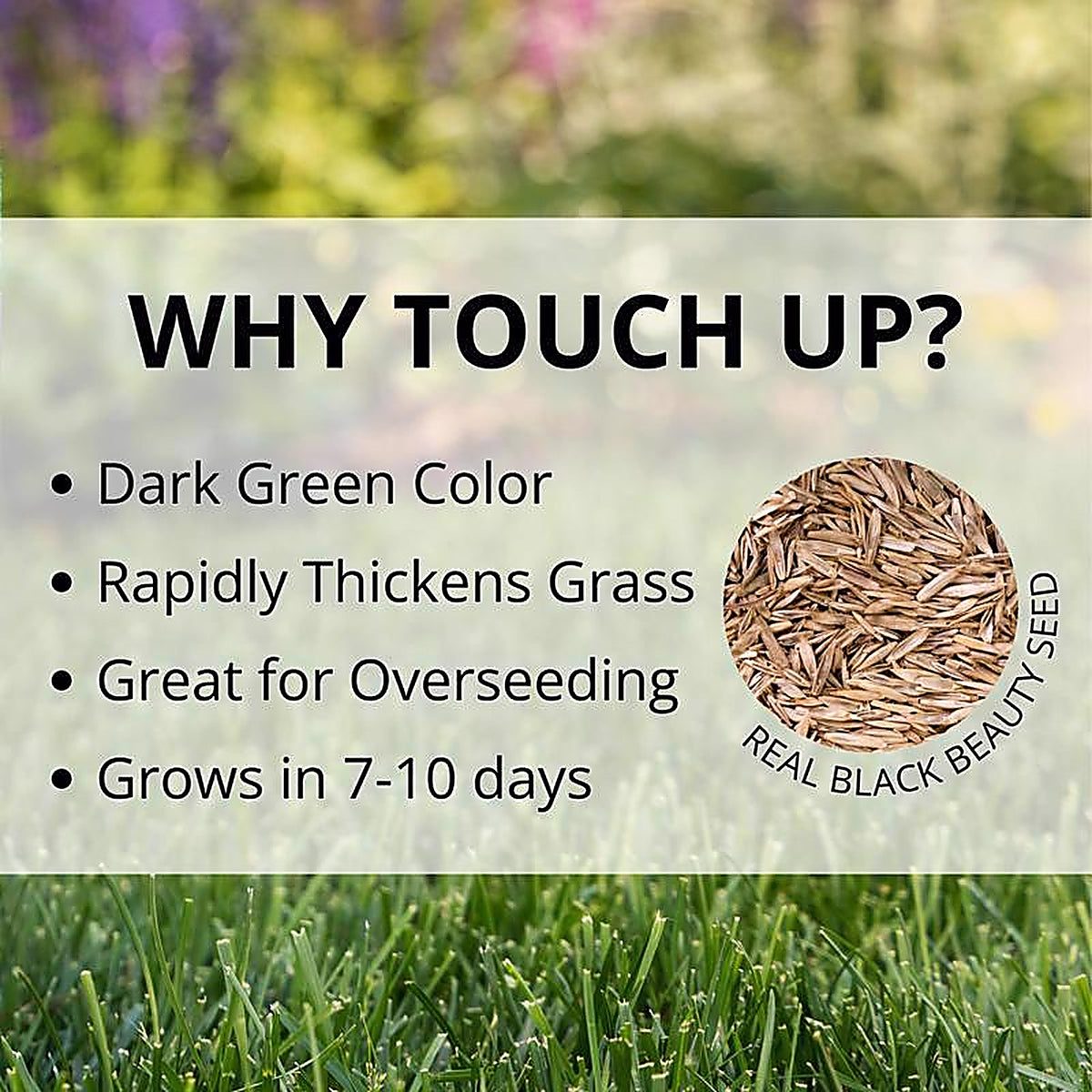 Jonathan Green - 12120 - Touch-Up Perennial Ryegrass Sun or Shade Grass Seed 3 lb