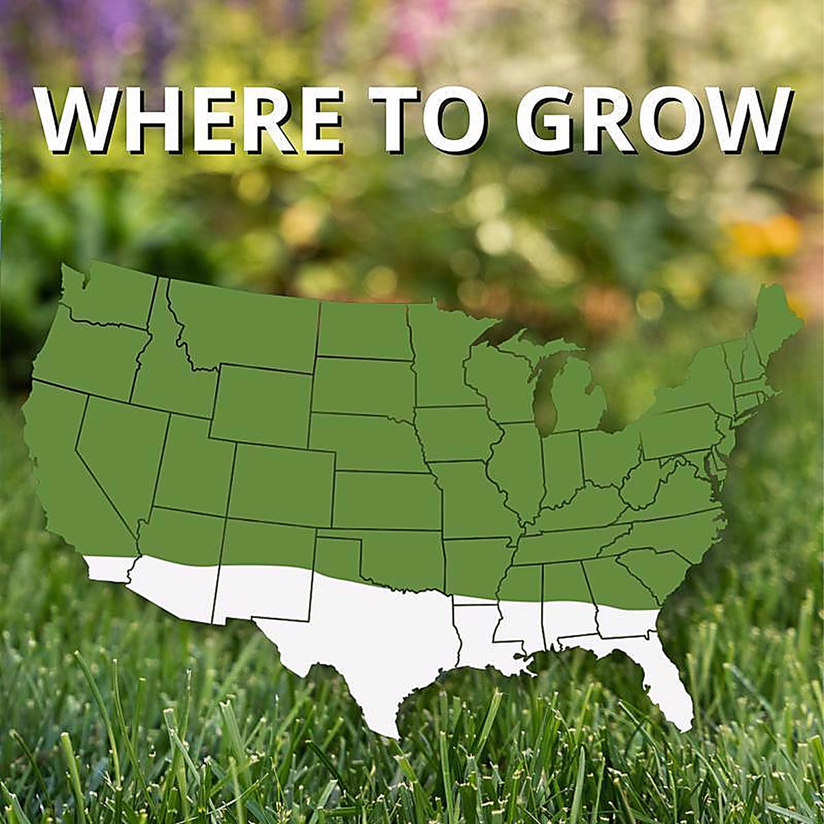 Jonathan Green - 10820 - Fast Grow Mixed Sun or Shade Grass Seed 3 lb