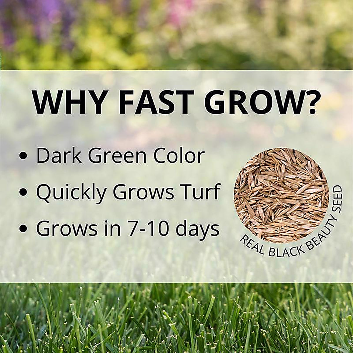 Jonathan Green - 10820 - Fast Grow Mixed Sun or Shade Grass Seed 3 lb
