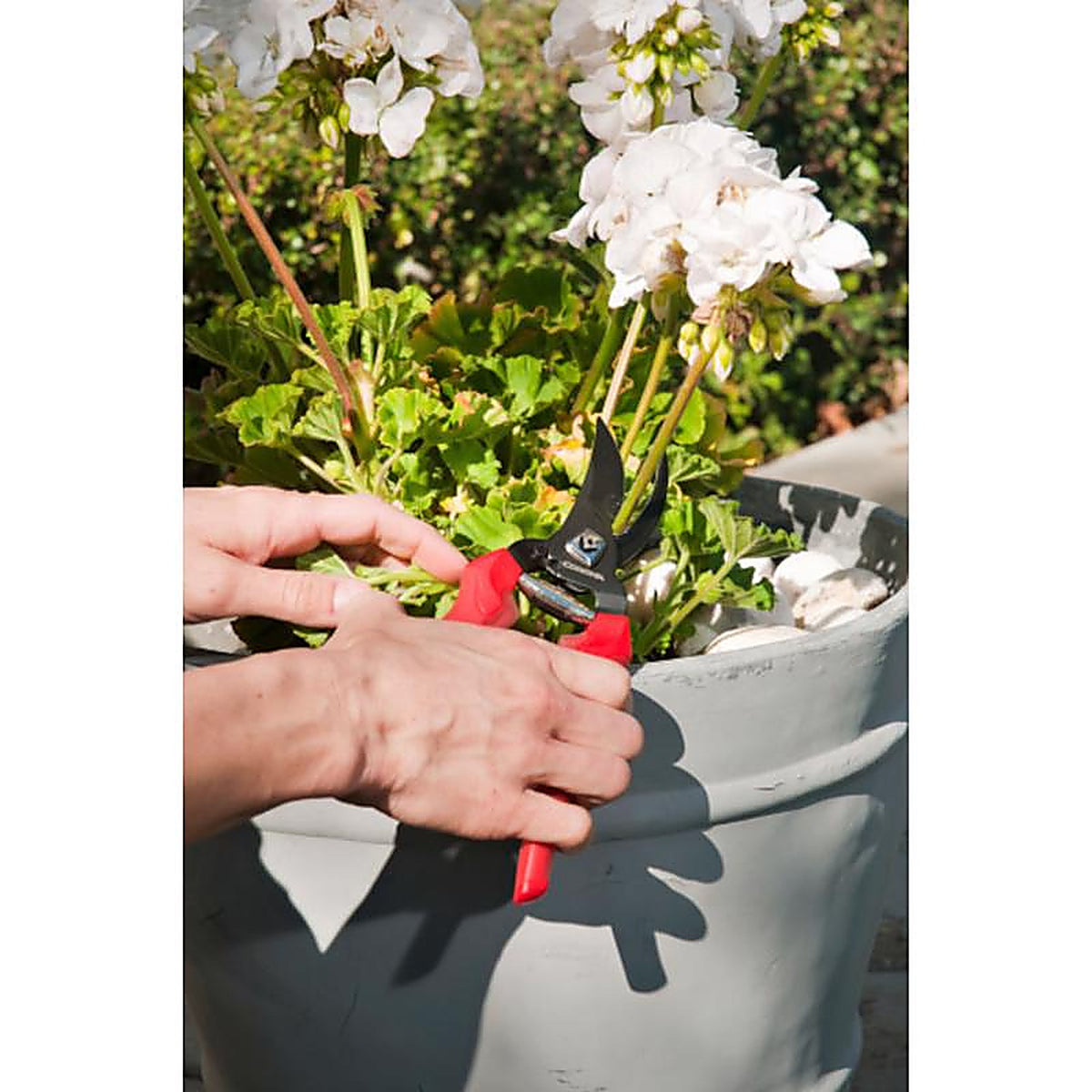Corona - BP3214D - ComfortGEL 4-1/2 in. Stainless Steel Bypass Pruners