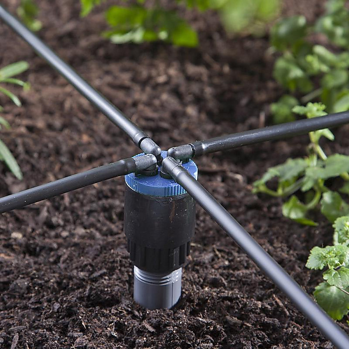 Raindrip - QB02UB - Spot Drip Irrigation Bubbler 2 gph