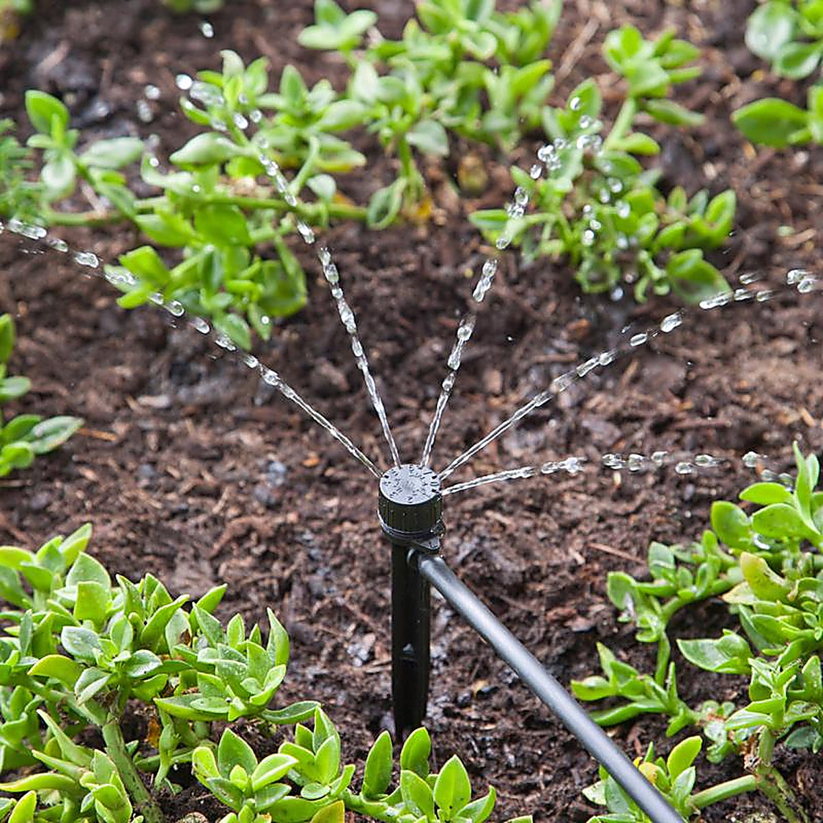 Raindrip - A155CPUB - Drip Irrigation Self-Piercing Clamp - 1/Pack