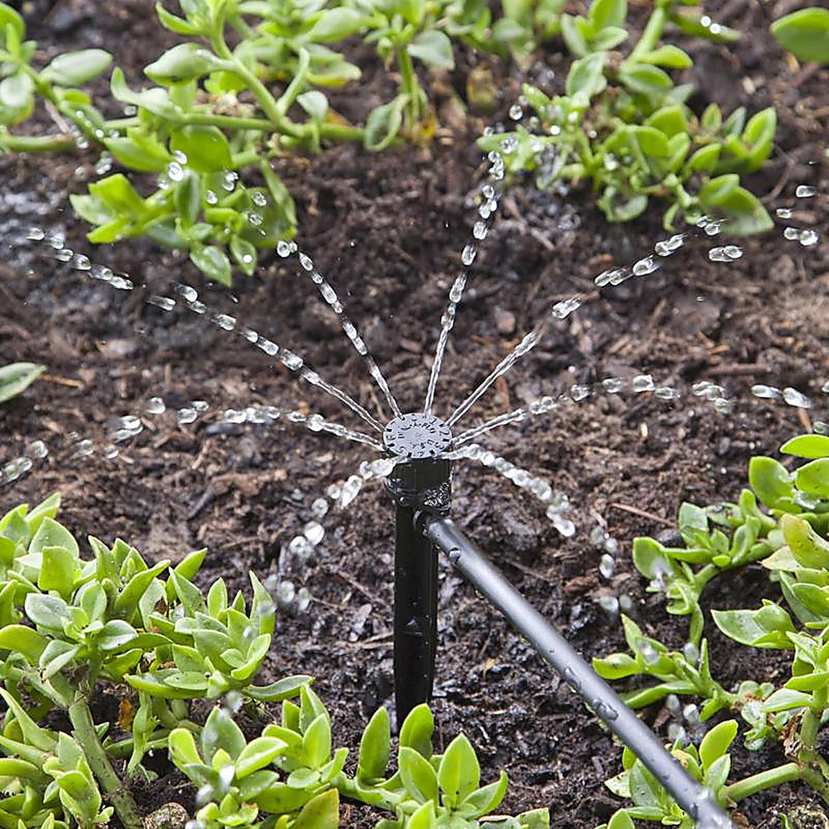 Raindrip - A156CPUB - Drip Irrigation Self-Piercing Clamp - 1/Pack