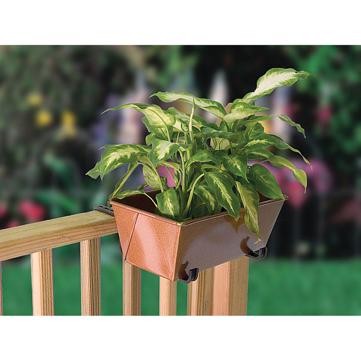 Panacea - 89057 - Black Aluminum 3-3/16 in. H Adjustable Plant Bracket 1 pk