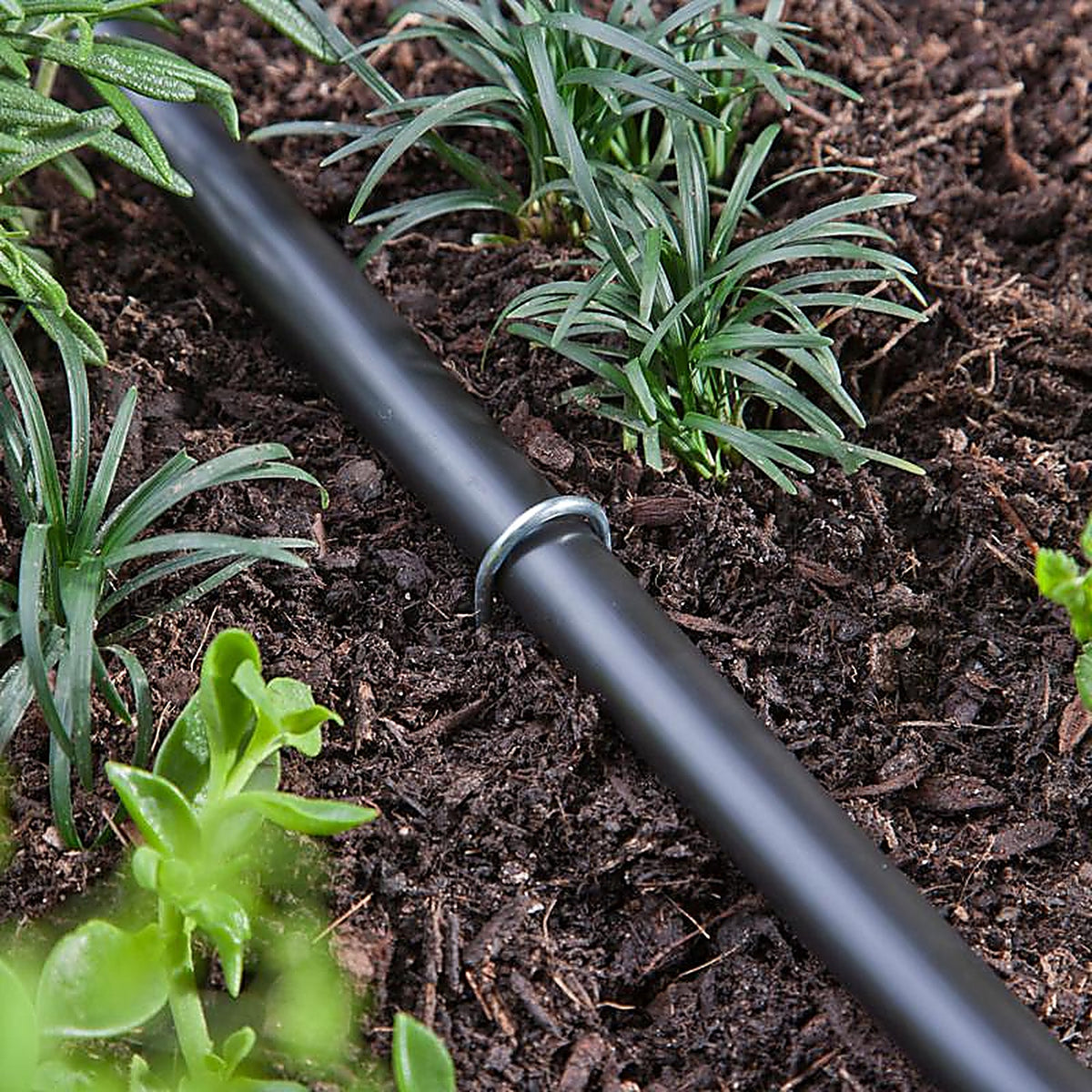 Raindrip - 397025B - Drip Irrigation Tubing Stake - 25/Pack