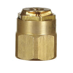 Champion - S9S - 1/2 in. Dia. x 14.5 L Spray Head Cap