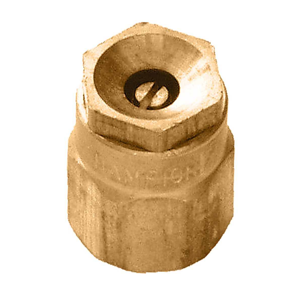 Champion - S9S - 1/2 in. Dia. x 14.5 L Spray Head Cap