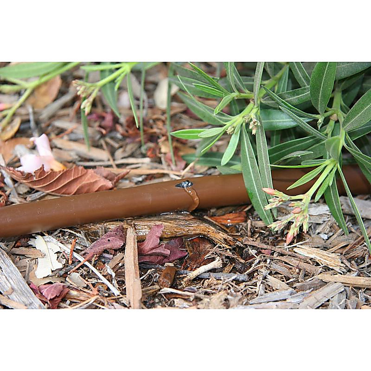 Rain Bird - ET256-50S - Plastic Drip Irrigation Emitter Tubing 1/4 in. Dia. x 50 ft. L