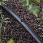 Raindrip - 646010B - Drip Irrigation Hole Plug - 10/Pack