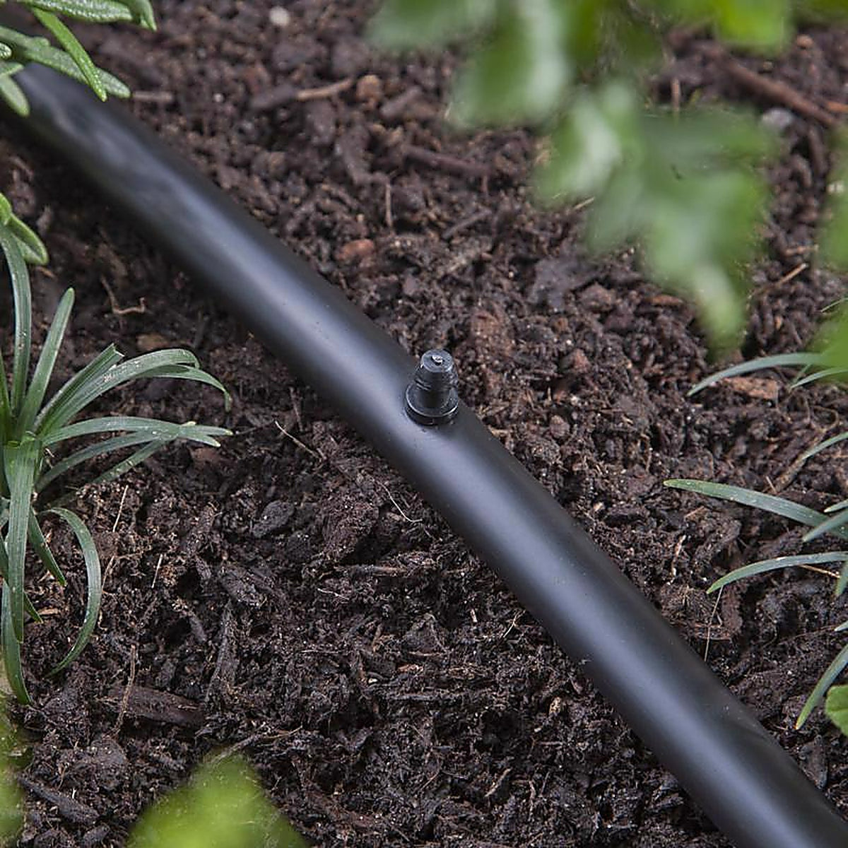 Raindrip - 646010B - Drip Irrigation Hole Plug - 10/Pack