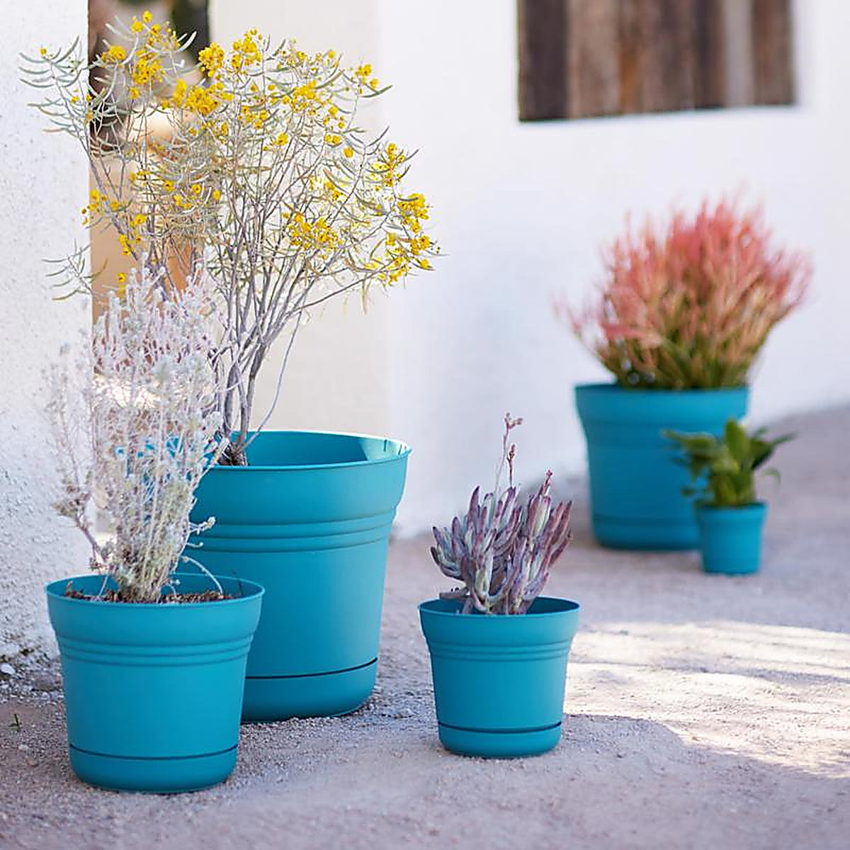 Bloem - SP0526 - 4.5 in. H x 5 in. Dia. Resin Planter Teal