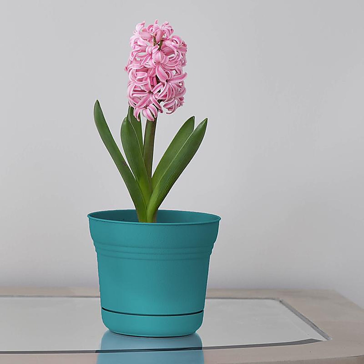 Bloem - SP0726 - 6.5 in. H x 7.3 in. Dia. Resin Planter Teal