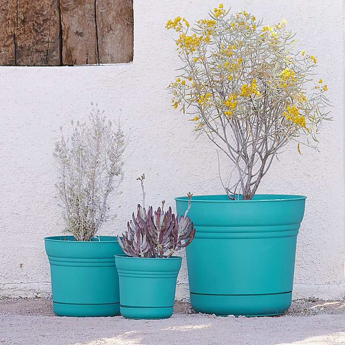 Bloem - SP1426 - 12.8 in. H x 14.5 in. Dia. Resin Planter Teal