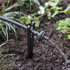 Raindrip - PC8010B - Spot Drip Irrigation Dripper 2 gph