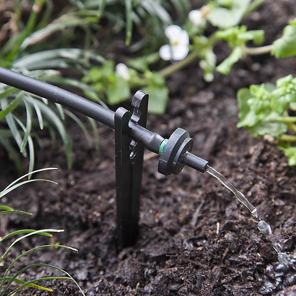 Raindrip - PC8010B - Spot Drip Irrigation Dripper 2 gph