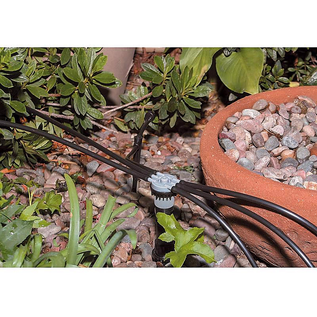 Rain Bird - MANIFRE1PK - 6 ports Drip Irrigation Manifold