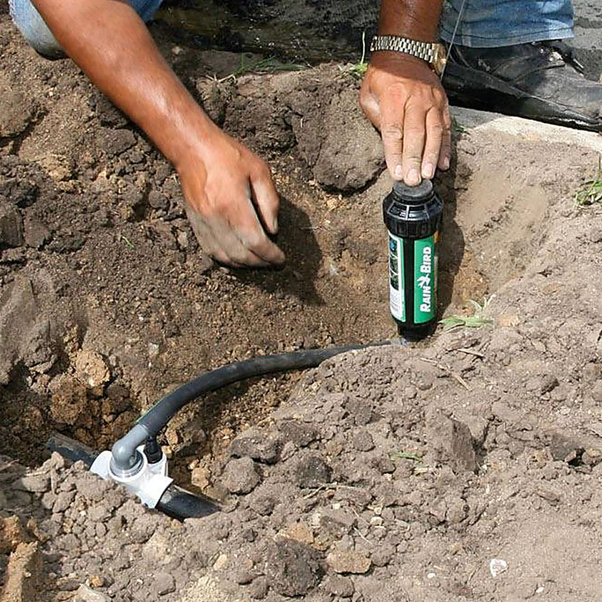 Rain Bird - SWGP50 - E-Z 50 ft. L Swing Pipe