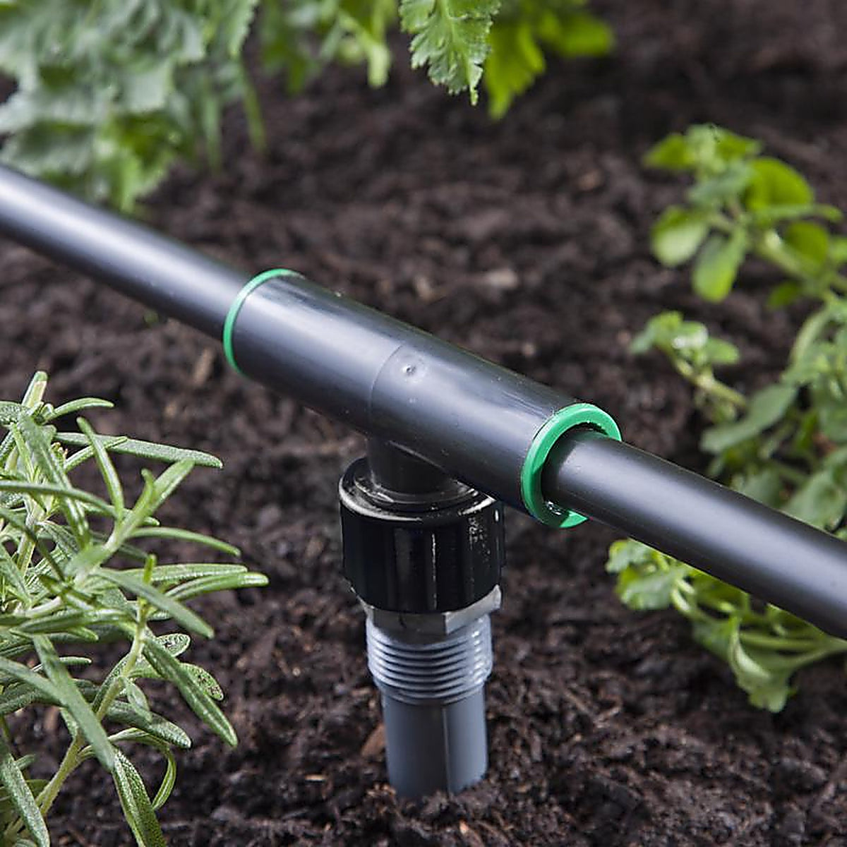 Raindrip - R333CT - Threaded 3/4 in. Drip Irrigation Tee - 1/Pack