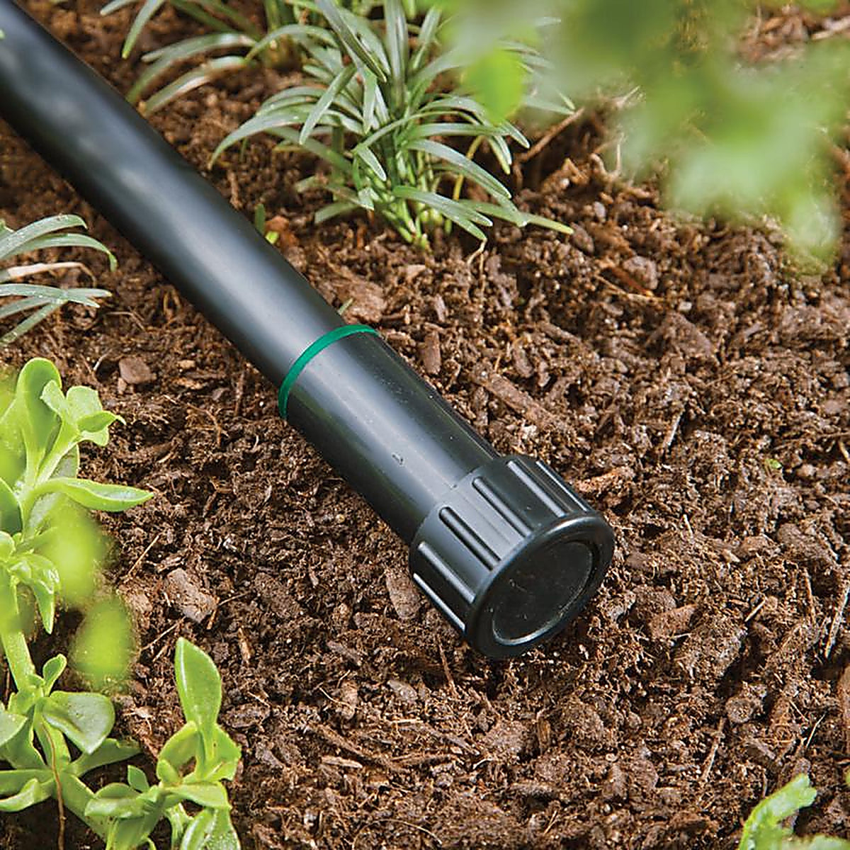Raindrip - R303CT - Compression Drip Irrigation Hole Plug - 1/Pack 1/2 in.