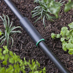 Raindrip - R310CT - Compression 1/2 in. Drip Irrigation Coupler - 2/Pack