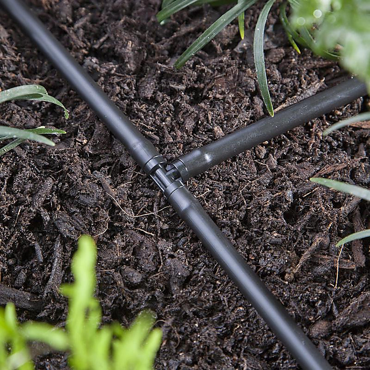 Raindrip - R307CT - Barbed 1/4 in. Drip Irrigation Tee - 5/Pack
