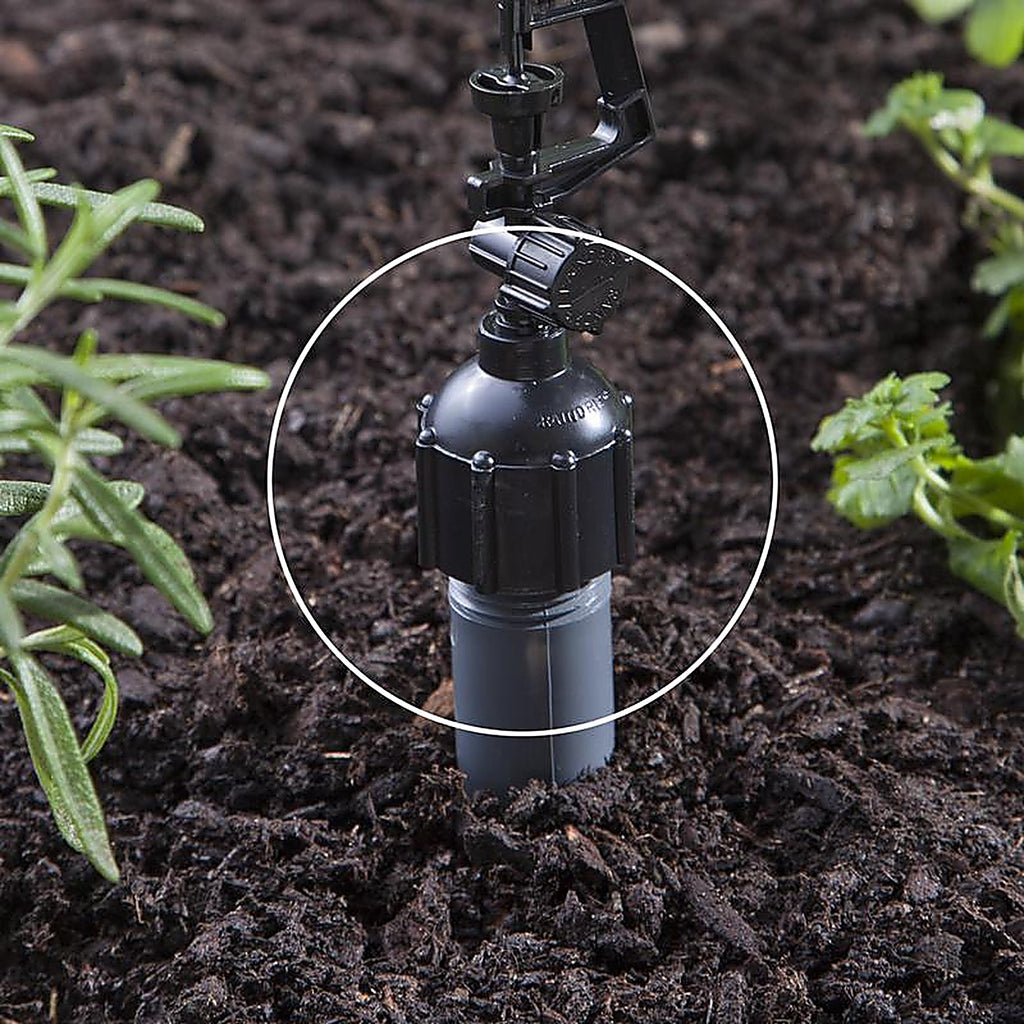 Raindrip - R336CT - 1/2 in. Drip Irrigation Adapter - 1/Pack