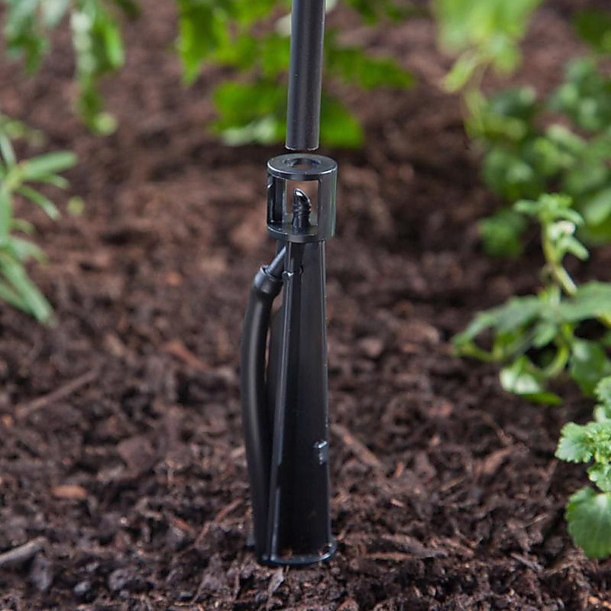 Raindrip - R382CT - Drip Irrigation Tubing Stake 8 in. L - 3/Pack
