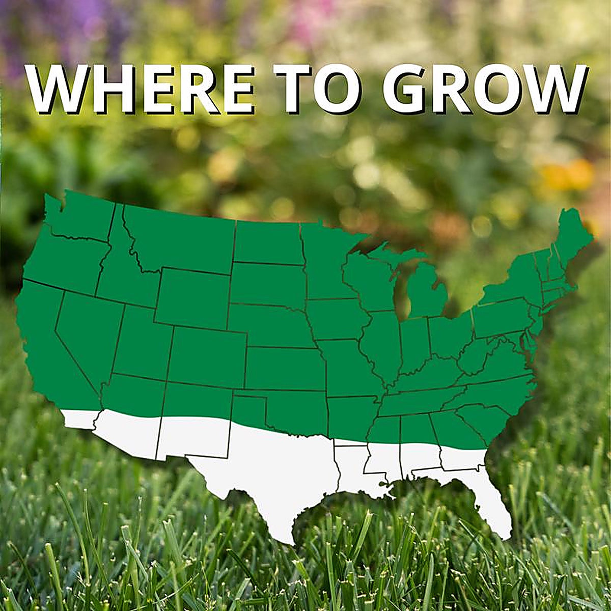 Jonathan Green - 11458 - Contractors Annual Ryegrass Full Sun/Medium Shade Grass Seed 25 lb