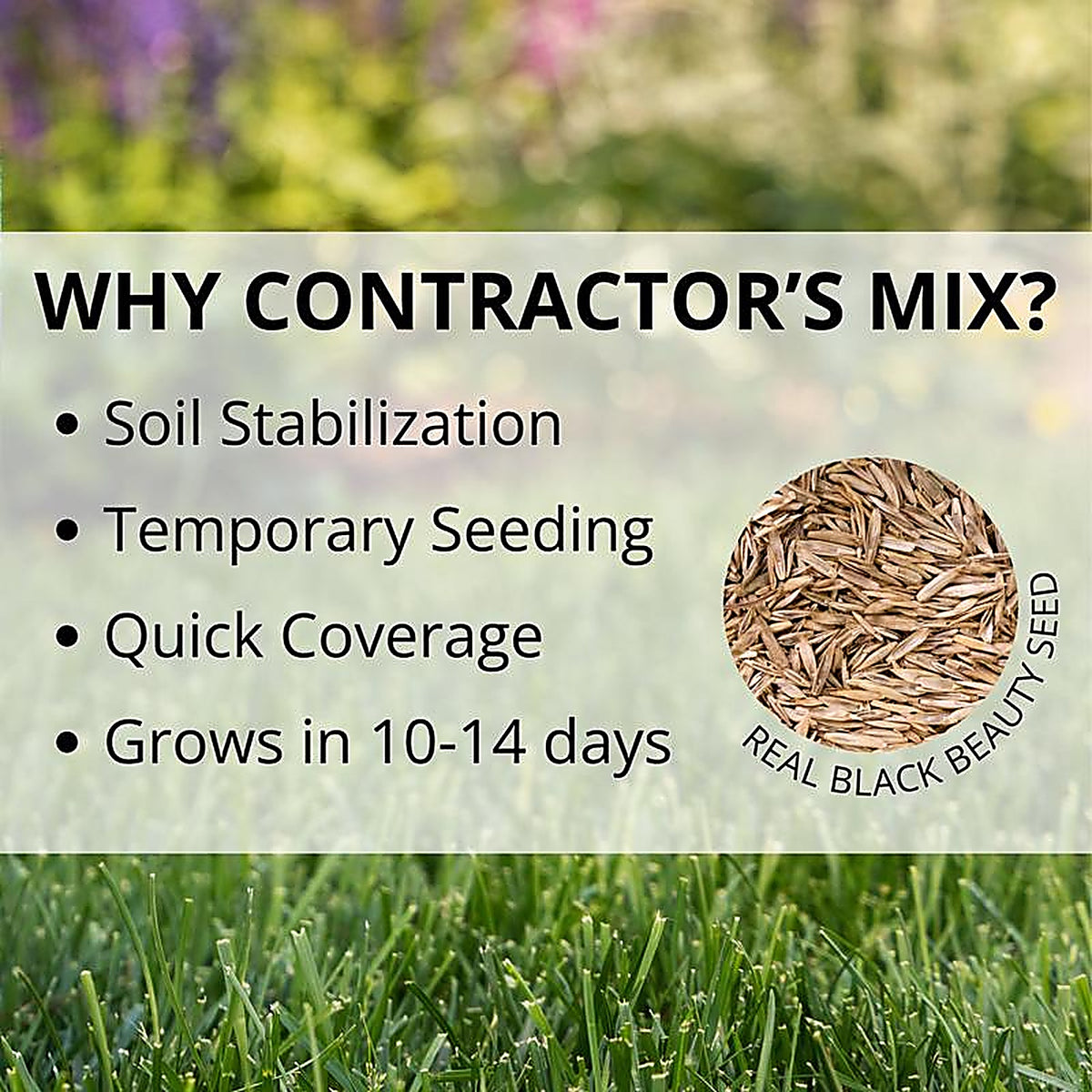Jonathan Green - 11458 - Contractors Annual Ryegrass Full Sun/Medium Shade Grass Seed 25 lb