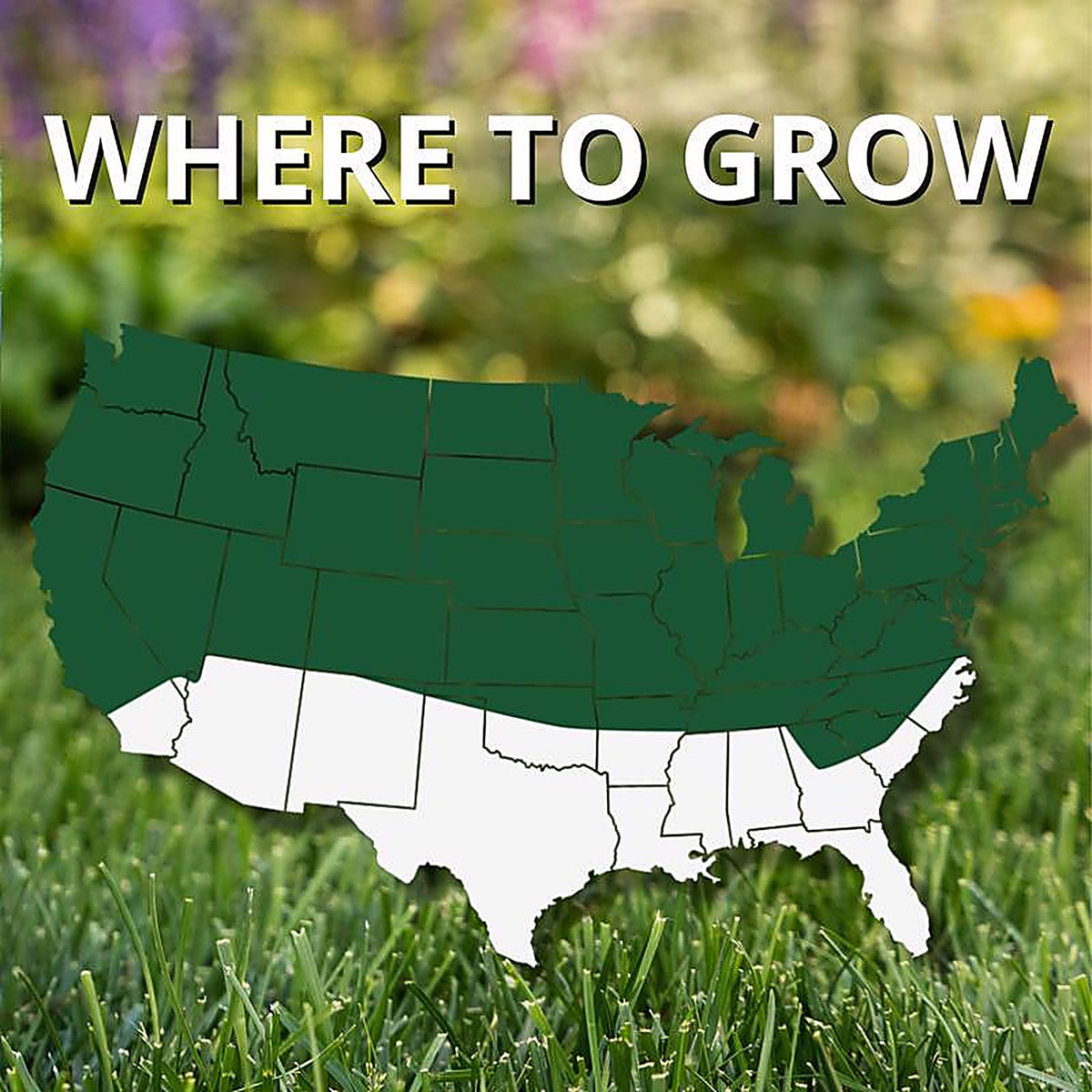 Jonathan Green - 10620 - Black Beauty Dense Shade Mixed Full Shade Grass Seed 7 lb