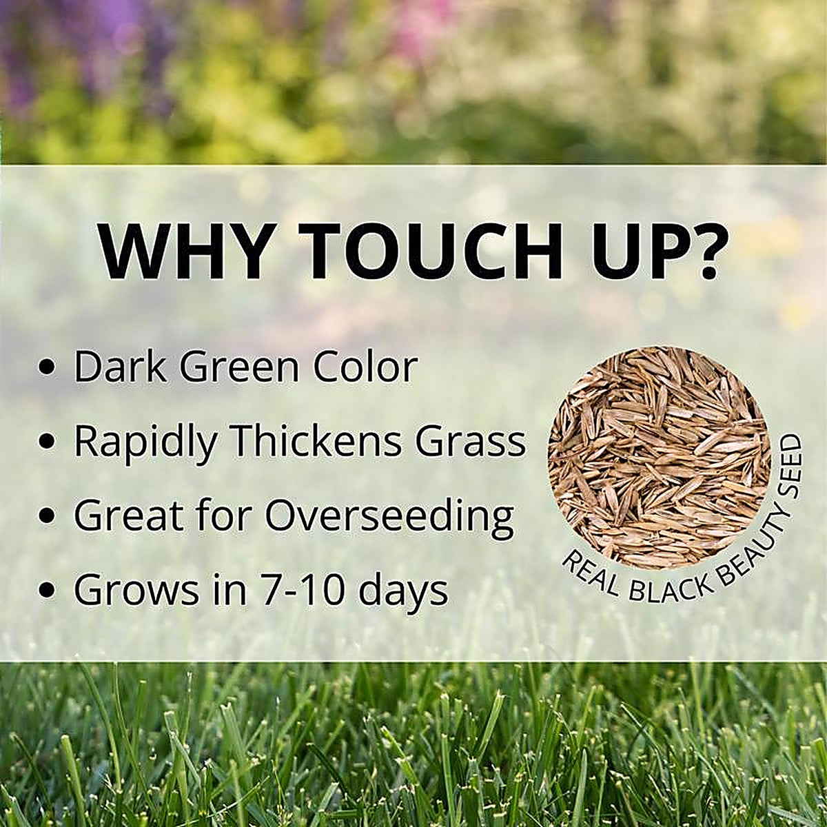 Jonathan Green - 12140 - Touch-Up Perennial Ryegrass Sun or Shade Grass Seed 7 lb