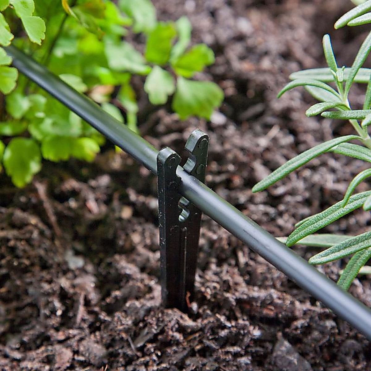 Raindrip - R381CT - Drip Irrigation Tubing Stake 6 in. L - 10/Pack