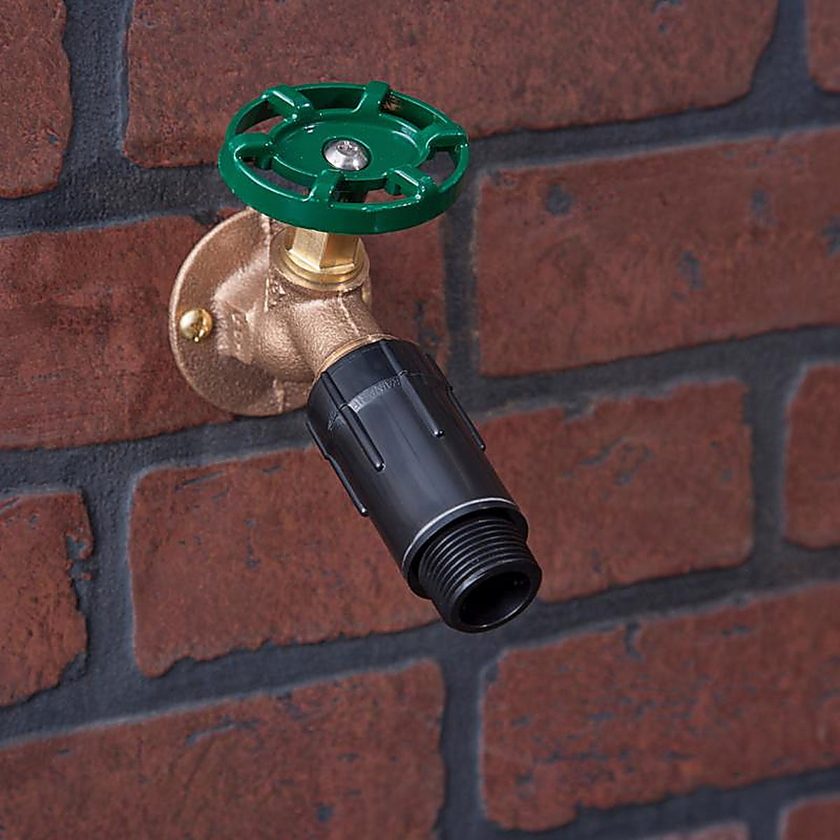 Raindrip - R465CT - 3/4 in. Drip Irrigation Pressure Regulator - 1/Pack
