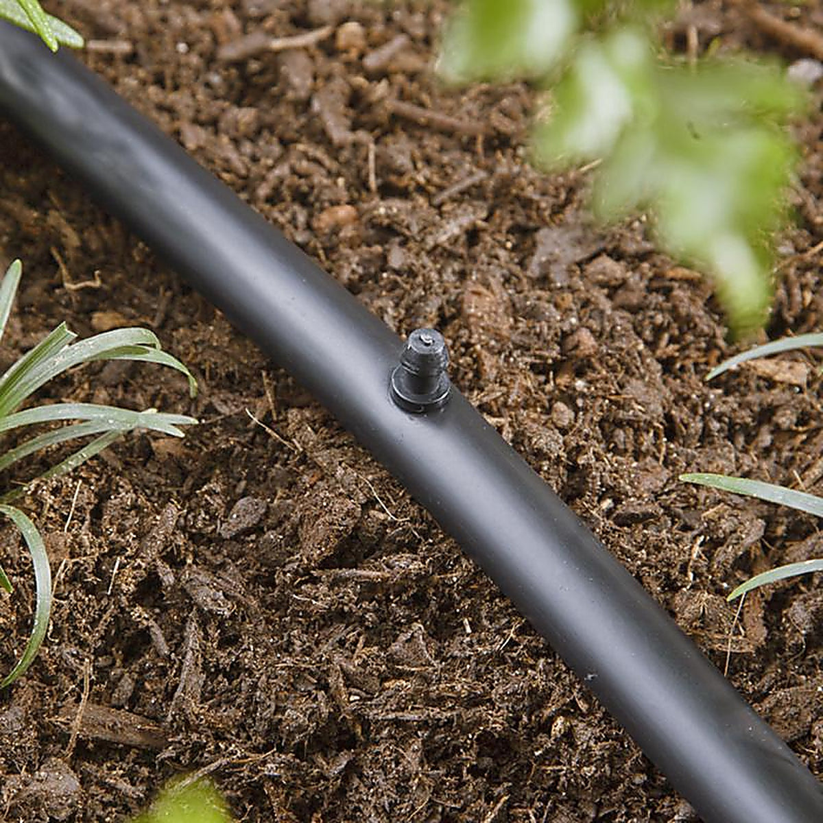 Raindrip - R630CT - Drip Irrigation Hole Punch - 1/Pack