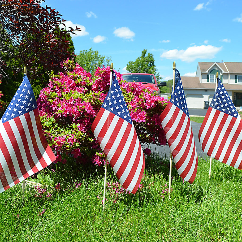 Valley Forge - USE8D - American Stick Flag 8 in. H X 12 in. W