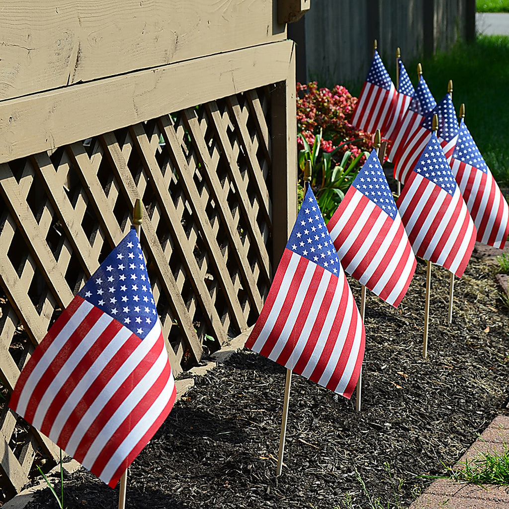Valley Forge - USE8D - American Stick Flag 8 in. H X 12 in. W