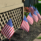 Valley Forge - USE8D - American Stick Flag 8 in. H X 12 in. W