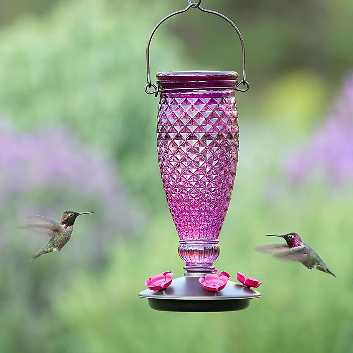Perky-Pet - 9102-2 - Hummingbird 24 oz. Glass/Plastic Diamond Wine Nectar Feeder 5 ports