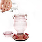 Perky-Pet - 9104-2 - Hummingbird 24 oz. Glass/Plastic Nectar Feeder 5 ports