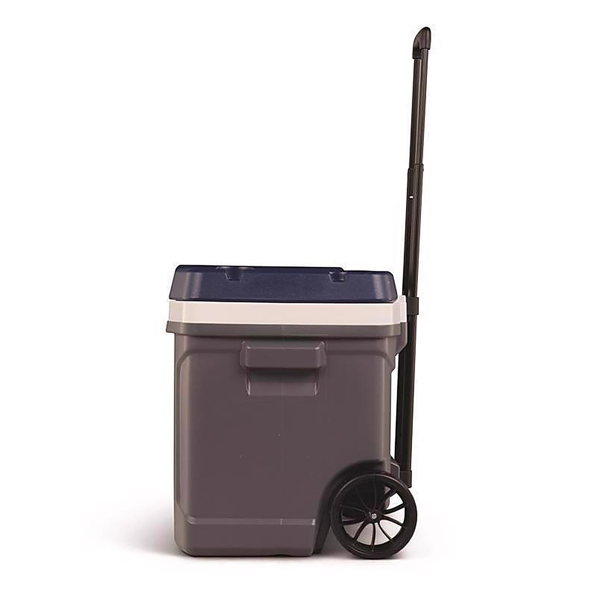 Igloo - 34696 - MaxCold Gray 62 qt Cooler
