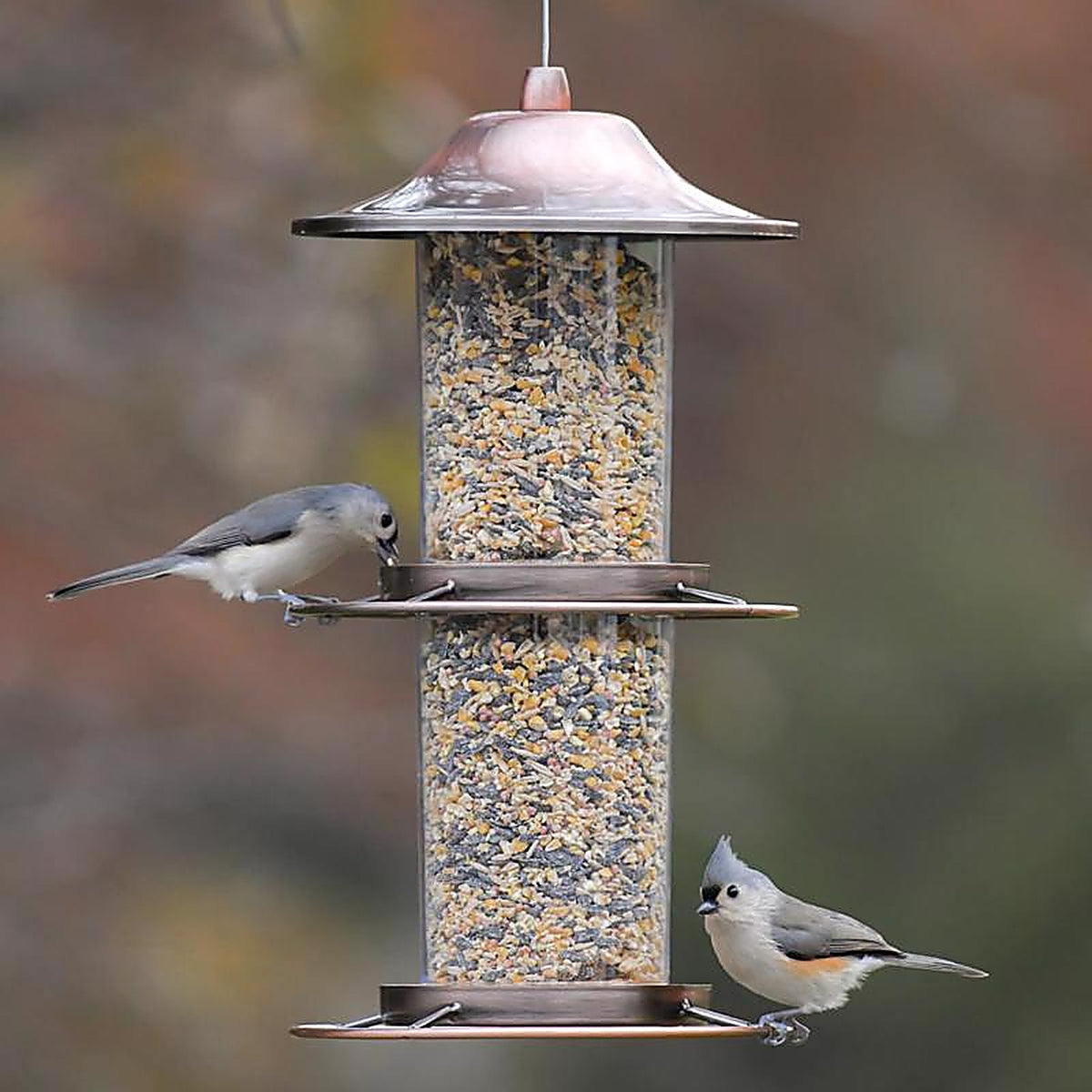 Perky-Pet - 325C - Wild Bird 4.5 lb. Copper Panorama Bird Feeder 2 ports