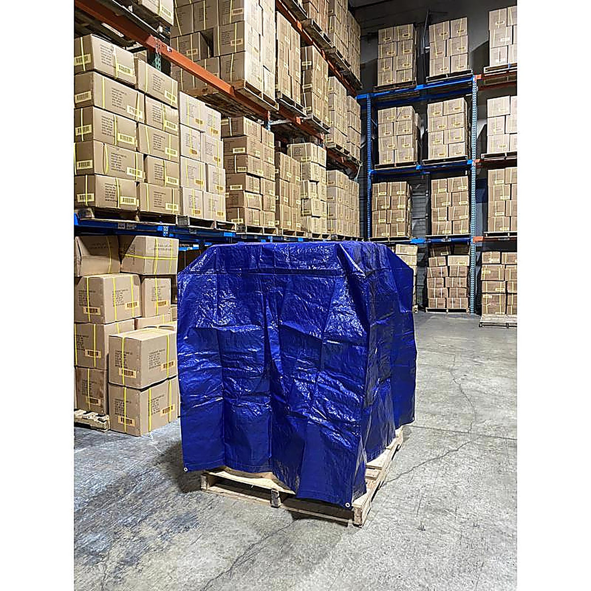 Foremost - 40454 - Tarp Co. Dry Top 4 ft. W X 5 ft. L Medium Duty Polyethylene Tarp Blue