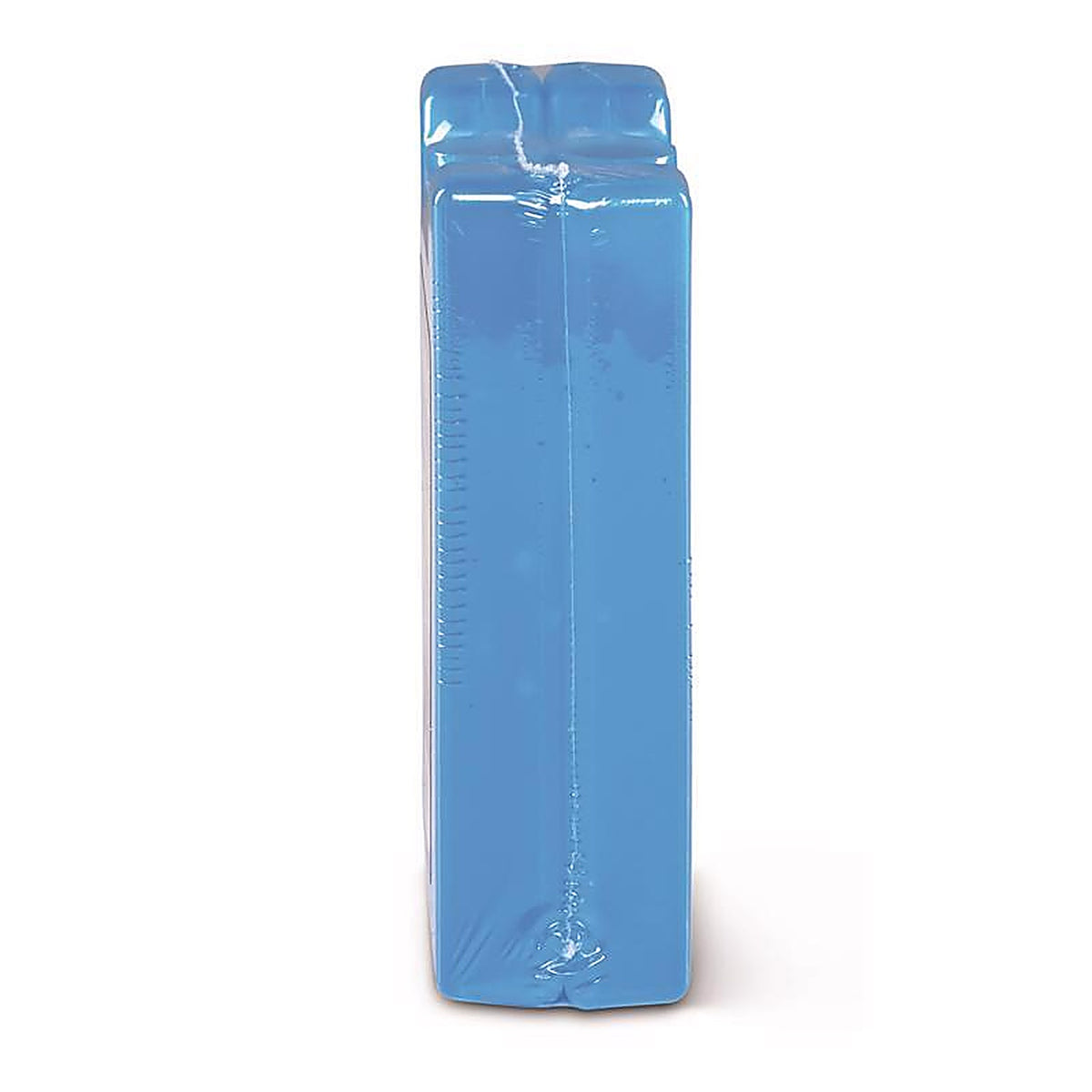 Igloo - 25211 - Freezer Block Blue 2 pk