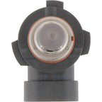 Philips - 9145B1 - Standard Halogen Fog/Forward Automotive Bulb 9145B1